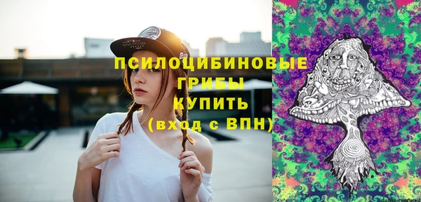 СК Валдай