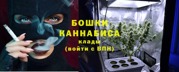 ALPHA-PVP Осинники