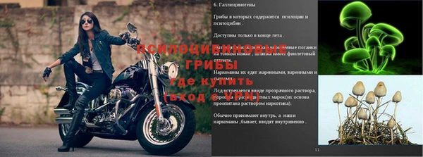 СК Валдай