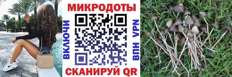 Галлюциногенные грибы мицелий  мориарти как зайти  Тотьма 